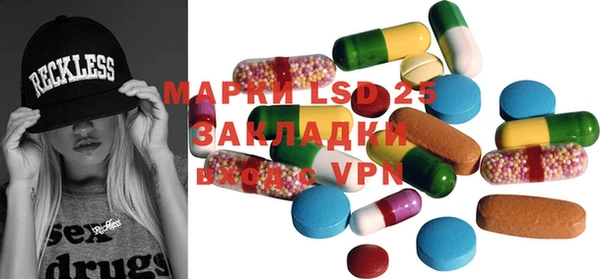 гашик Алексин