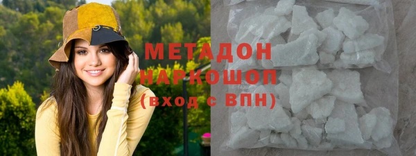 гашик Алексин