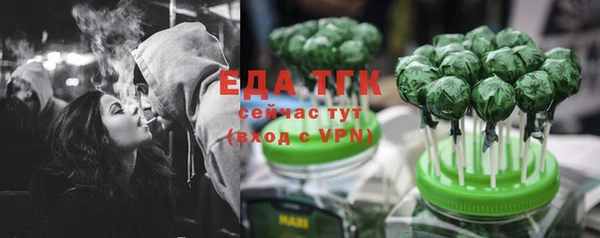 гашик Алексин