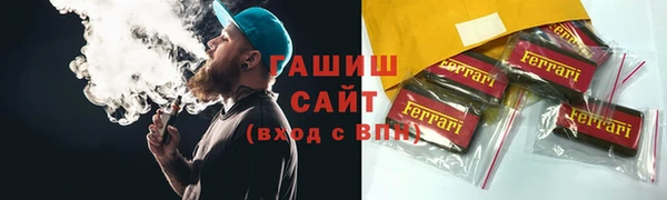 гашик Алексин
