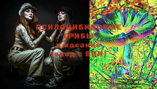 соль ск Алзамай