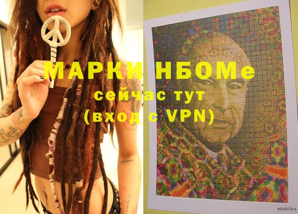 гашик Алексин