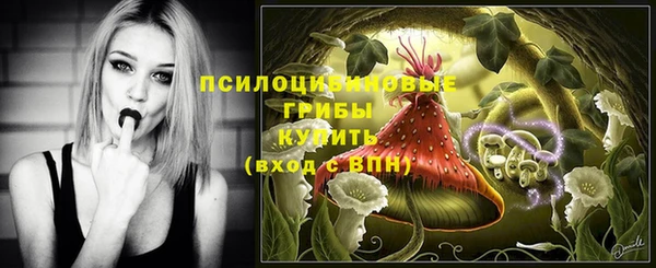 гашик Алексин