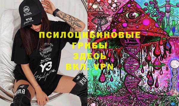 гашик Алексин