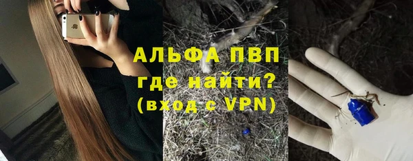 гашик Алексин