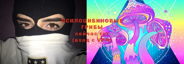 соль ск Алзамай