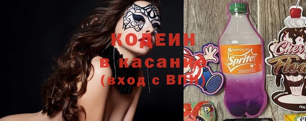 соль ск Алзамай
