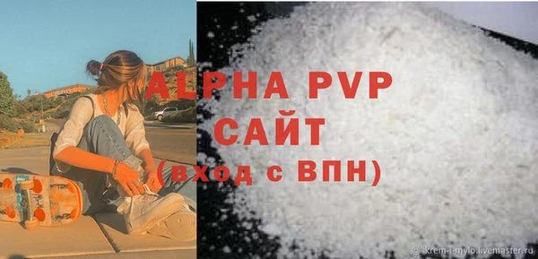 гашик Алексин