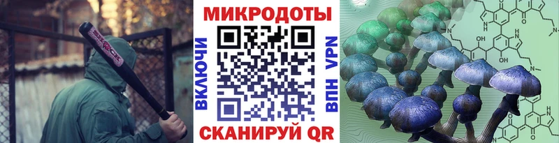 Галлюциногенные грибы Psilocybine cubensis  shop какой сайт  Алушта 